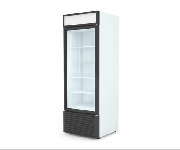 Standing Refrigerator with Glass Door for rent – Hodaya | Rentlyz