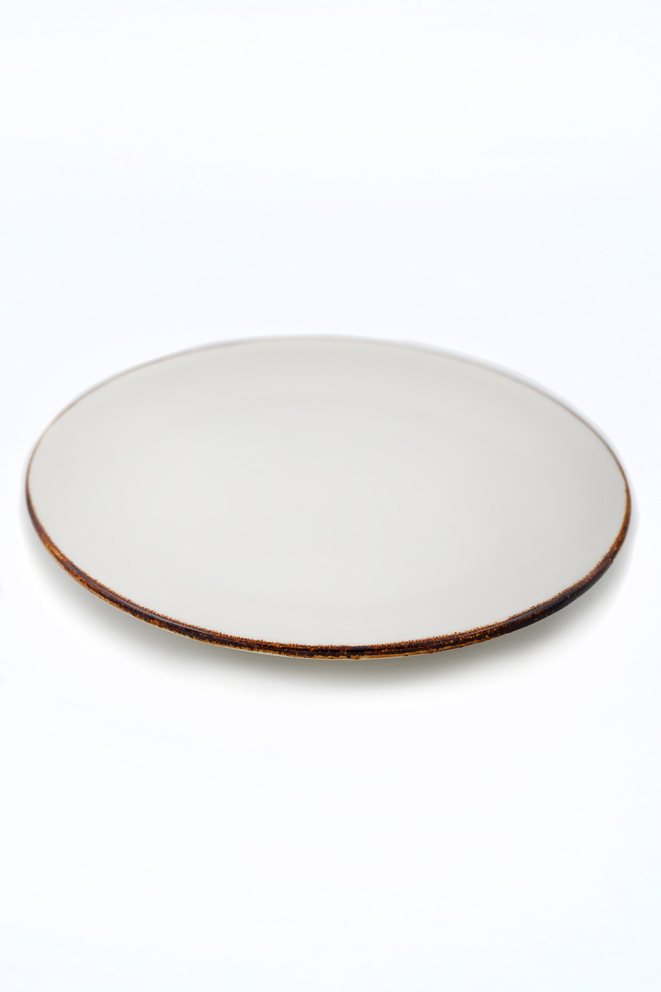 Noa Main Plate with Brown Stripe for rent – Tamir Aruim | Rentlyz
