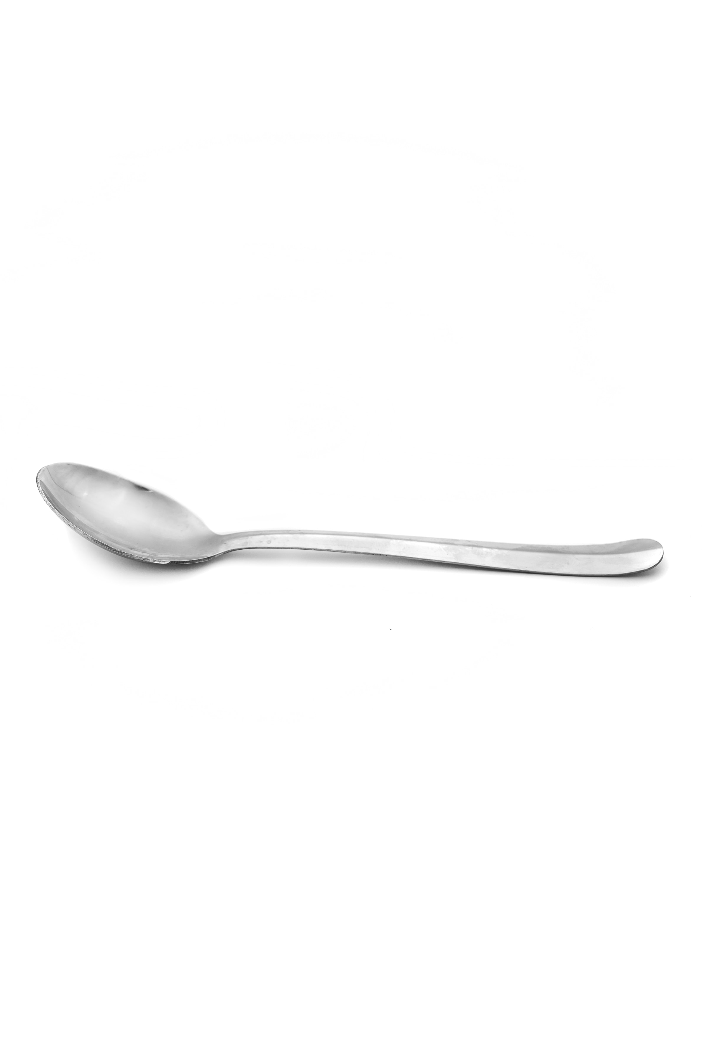 Serving Spoon for rent – Tamir Aruim | Rentlyz