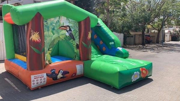 Palm Tree Inflatable for rent – Idans | Rentlyz