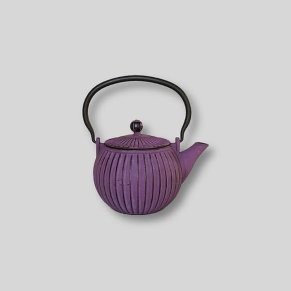 Japanese Tea Kettle for rent – GuestLine | Rentlyz