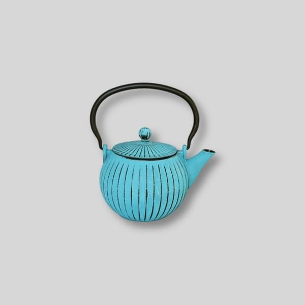Japanese Tea Kettle for rent – GuestLine | Rentlyz