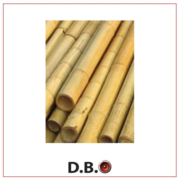 Bamboo Poles for rent – DBO | Rentlyz