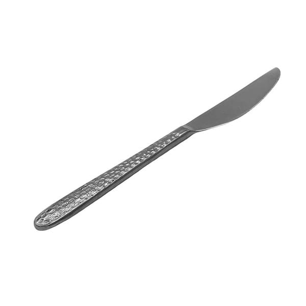 Serrated Knife (Dairy) for rent – Harmonia | Rentlyz