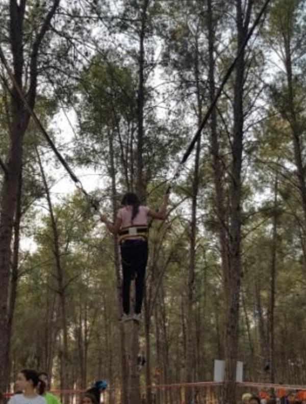 Swing for rent – Sport Attraction | Rentlyz