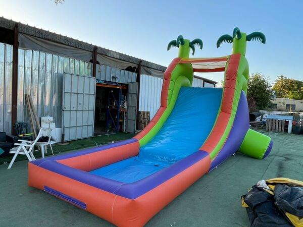 Mega Slide Water Inflatable with Palm Tree for rent – Matanpim Venanim | Rentlyz