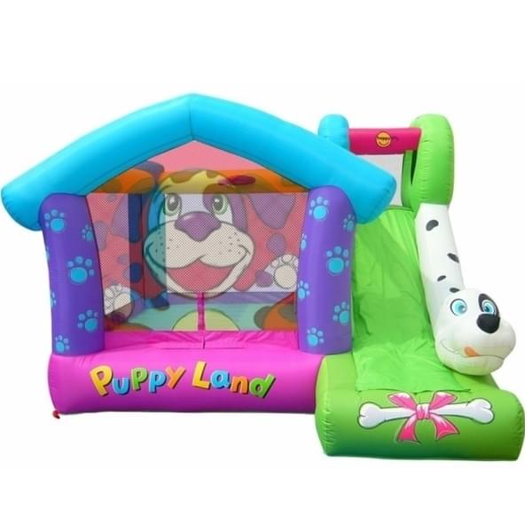 Dalmatian Puppy for rent – Matanpim Venanim | Rentlyz