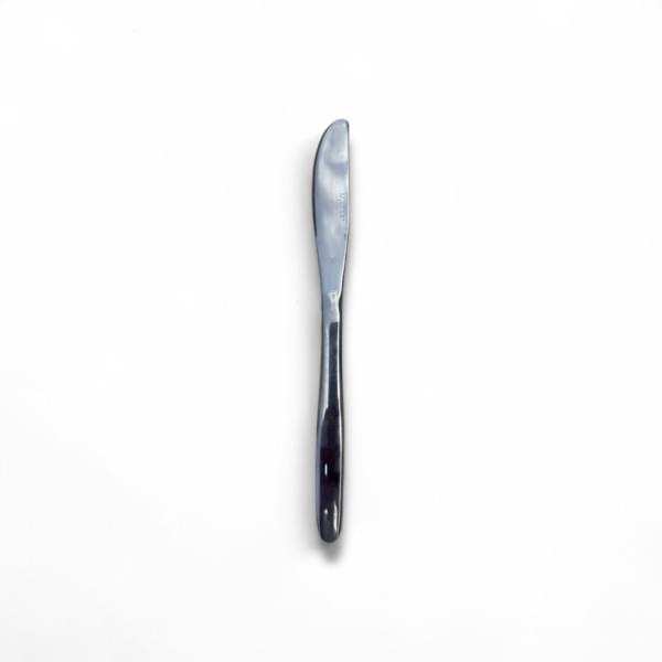 Tadmor Butter Knife (Dairy) for rent – Mr-Mor | Rentlyz