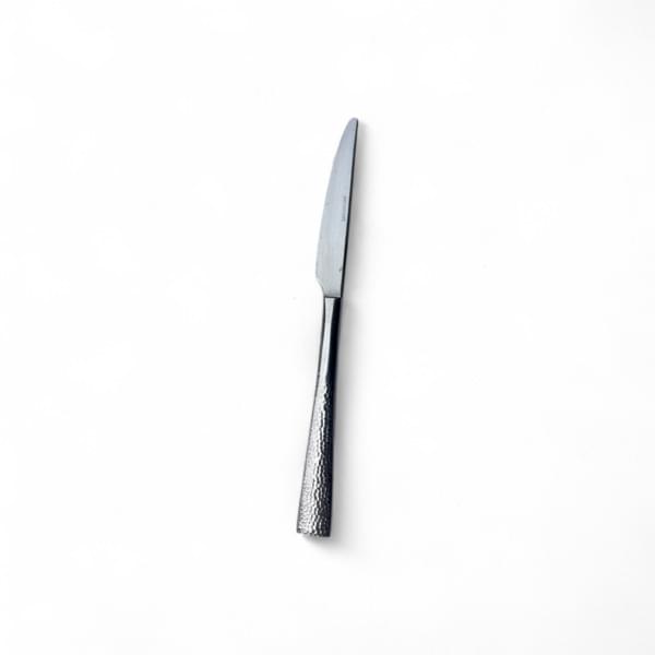 Diana Silver Knife (Meat) for rent – Mr-Mor | Rentlyz
