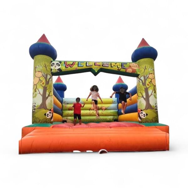 Jumping Castle for rent – DBO | Rentlyz