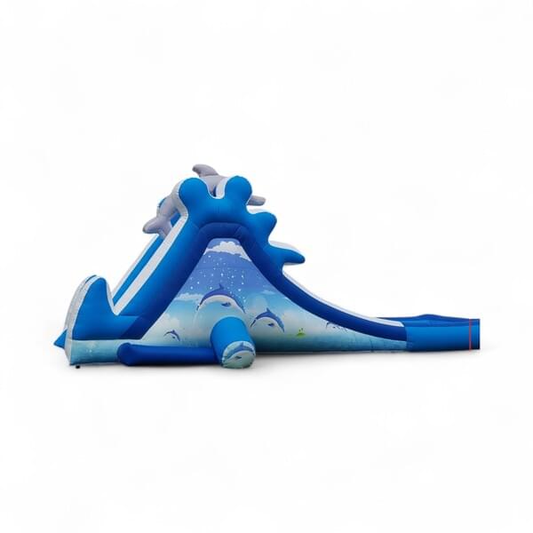 Dolphin Water Slide for rent – DBO | Rentlyz