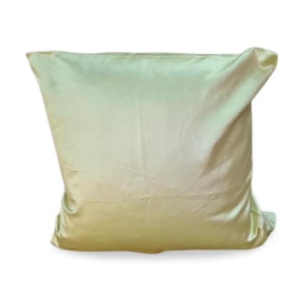 Light green pillow for rent – Hodaya | Rentlyz