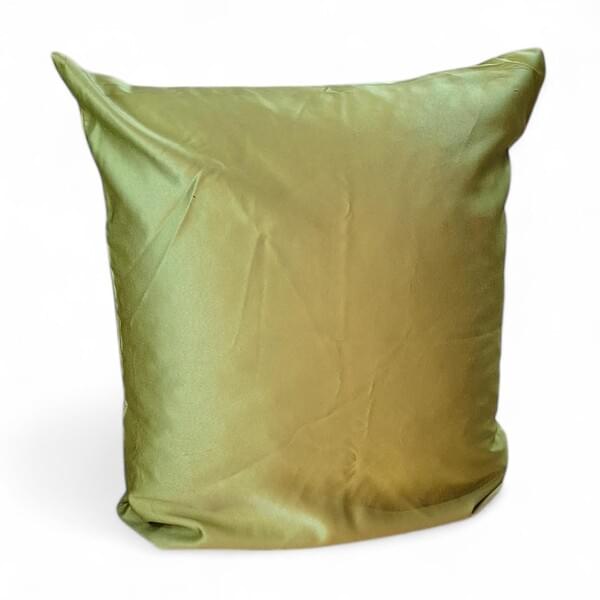 60x60 apple green  Cushion for rent – Hodaya | Rentlyz