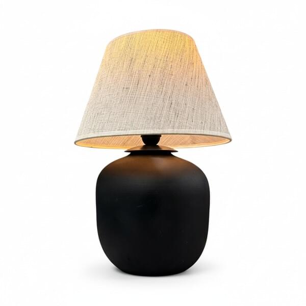 Aster Lamp for rent – DDNest | Rentlyz