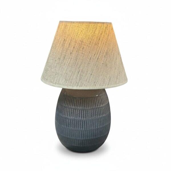 Harmony Blue Cordless Lamp for rent – DDNest | Rentlyz