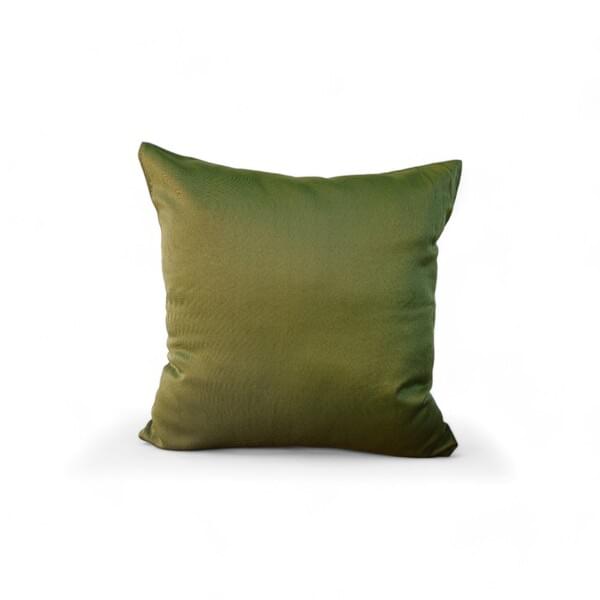Apple Square Cushion Cover, Stiff Apple Green Satin for rent – DDNest | Rentlyz
