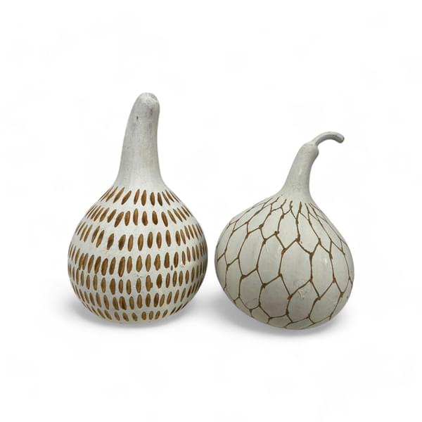 White Decorative Pumpkin for rent – DDNest | Rentlyz