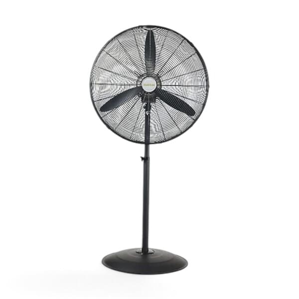 26 Inch Fan for rent – Diamond | Rentlyz